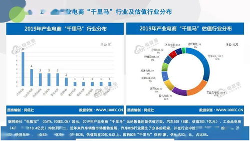 电子商务研究中心 2019年度中国泛电商 千里马 数据报告